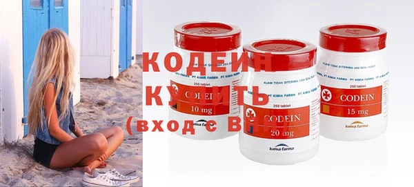 гашик Коряжма