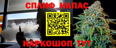 индика Волжский