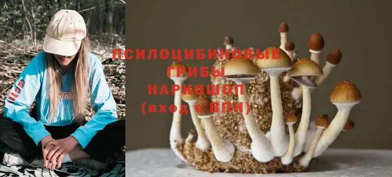 Галлюциногенные грибы Magic Shrooms  OMG зеркало  Краснокаменск 