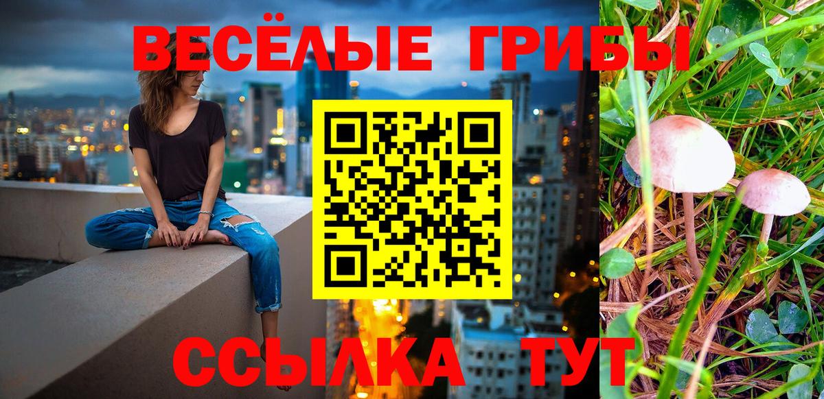 Псилоцибиновые грибы GOLDEN TEACHER Краснокаменск