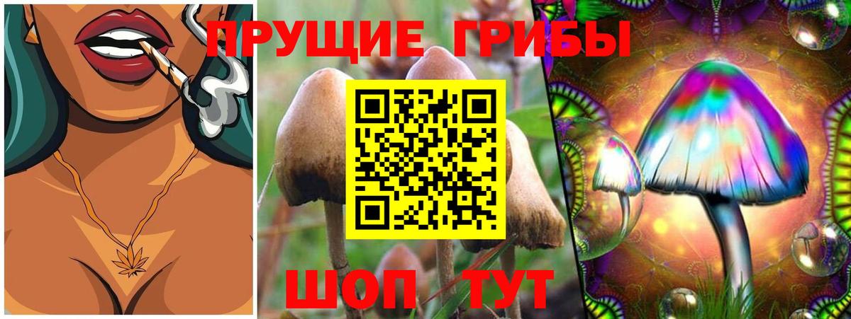 Галлюциногенные грибы Cubensis Краснокаменск