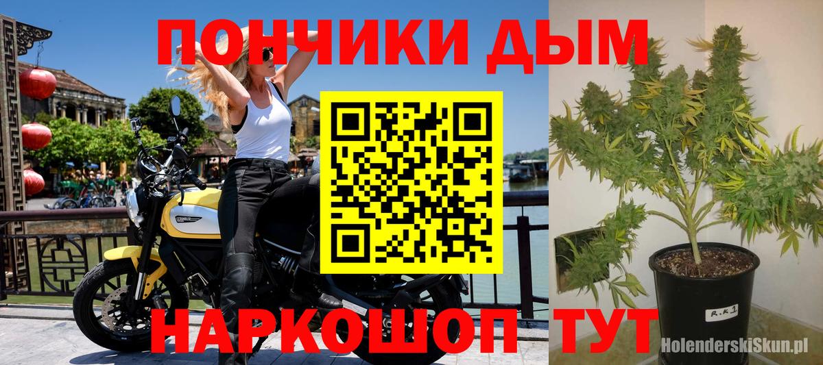 МАРИХУАНА White Widow Краснокаменск